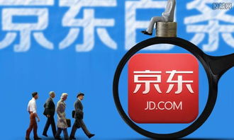 白條支付什么意思 白條支付怎么還款