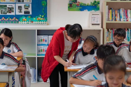 義務教育學校課后服務覆蓋率100 東莞南城各學校這樣落實 雙減 政策
