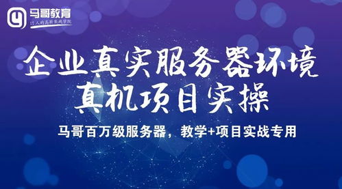 馬哥教育服務體系升級,2019十大服務上線